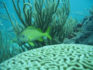 Image00003