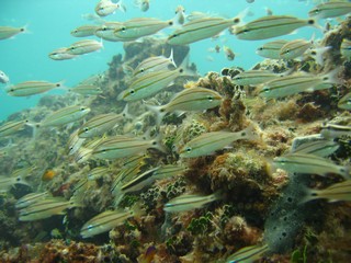 Image00008